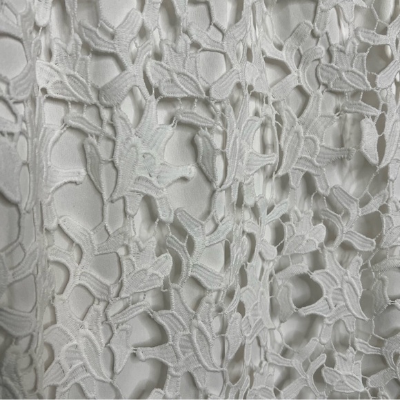 Francesca's White Lace Sheath Dress S Eyelet Floral Feminine Sleeveless Delicate - Picture 4 of 9
